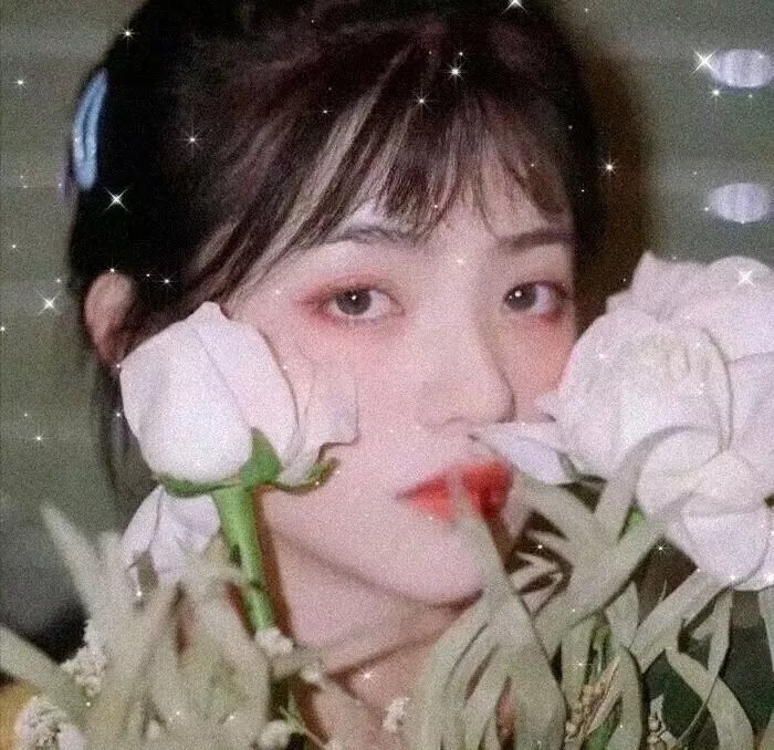 喜马拉雅